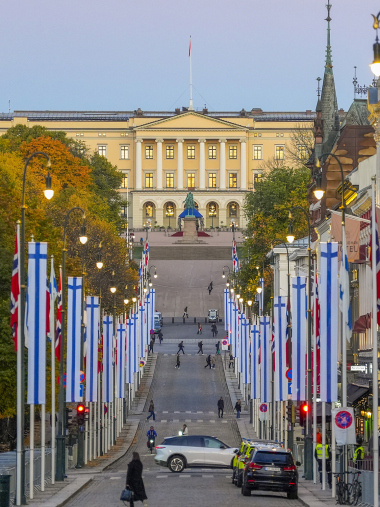 Karl Johans gate pyntet med norske og finske flagg i anledning statsbesøk fra Finland i 2024. Foto: Terje Pedersen / NTB
